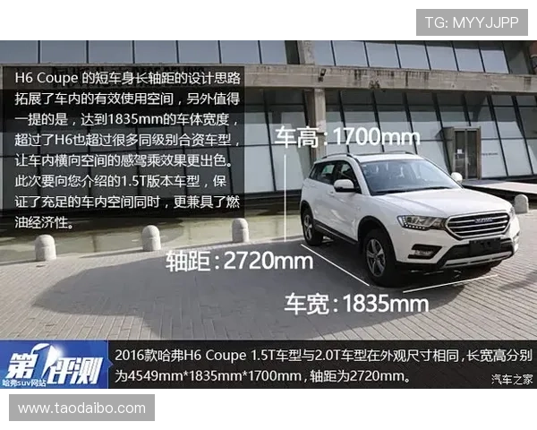 开云集团官方网站最新资讯与企业动态全面解析