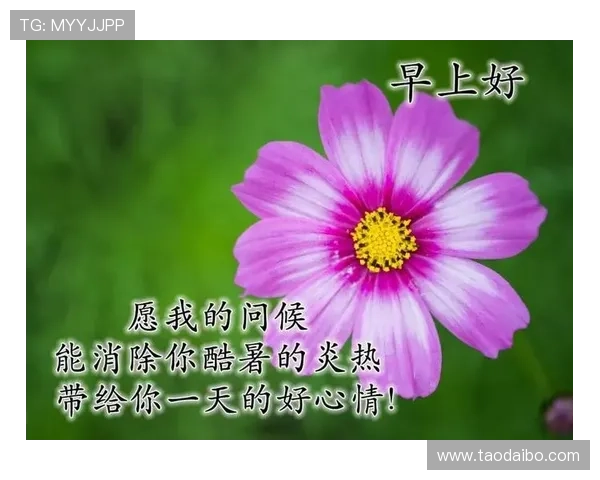 开运网站帮你聚财避凶,用科学的方法提升生活的好运气和幸福指数